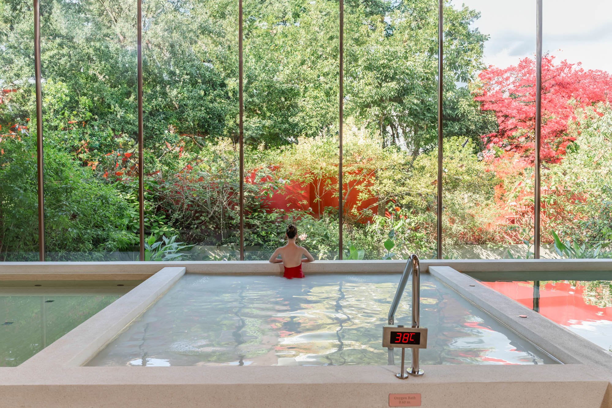 wellness cuisine img 5