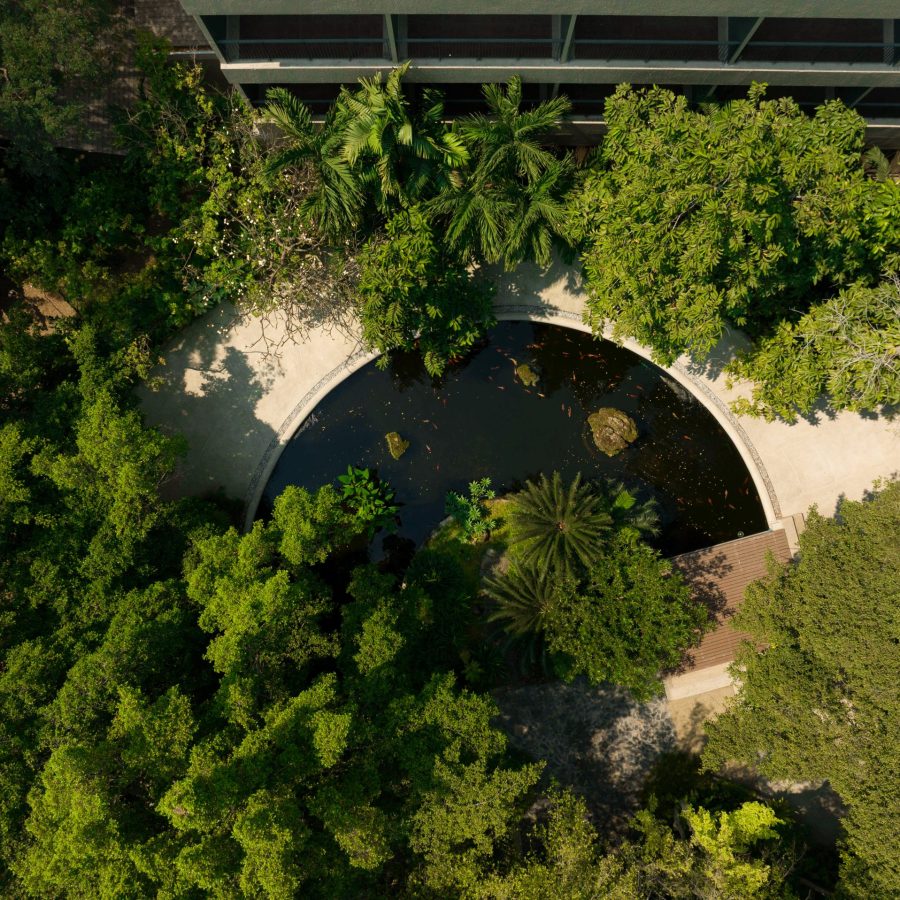 DJI 20250213113744 0729 D 001 2